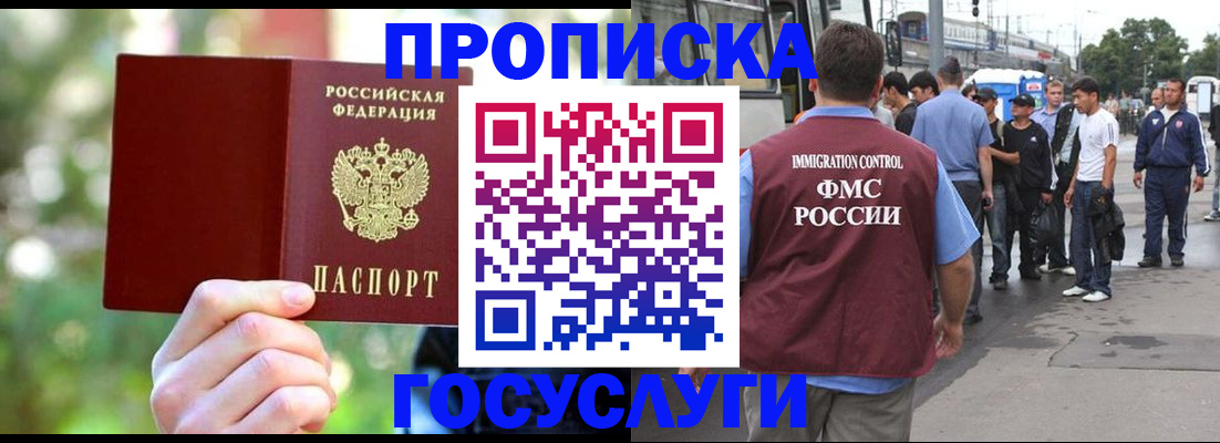 прописка поиск в Алейске